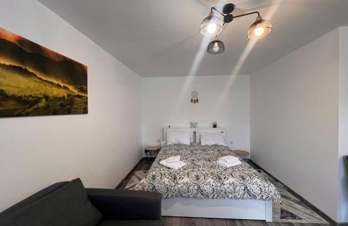 Merei House | Top-Rated Casa Maria Sarata Monteoru: Family-Friendly Retreat