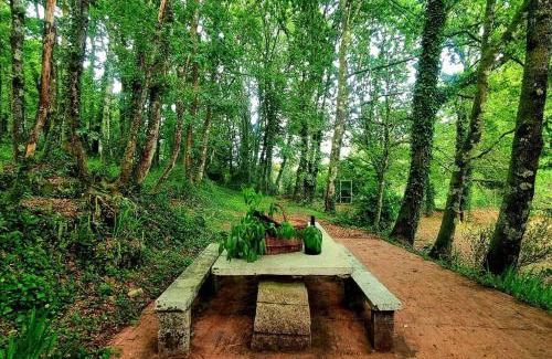 Ponteareas House | Guest Rated: Casa MATRIA with Hot Tub & Pet-Friendly Perks