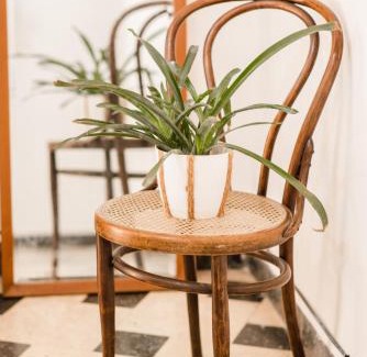 Gualeguaychu House | Cozy Casa Mechi: Pet and Child-Friendly Retreat