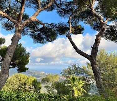 Merea House | Pet-Friendly Casa Merea 16: Rated 8/10 for Family Fun