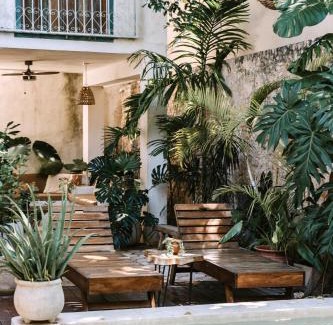 Centro Bed & Breakfast | Enchanting Casa Mezcla: Oceanfront Bed & Breakfast Retreat