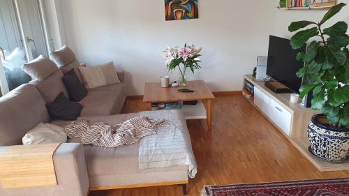 Kloten Apartment | Casa mia