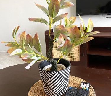Dar es Salaam Apartment | Casa Mia Homez
