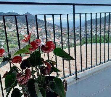 Machico House | Child-Friendly Stay at Casa Miguel - Guest Rated 10/10