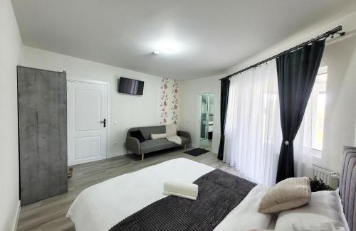 Sighetu Marmatiei House | Family-Friendly Stay at Casa Mihai Marius with Kitchen Access