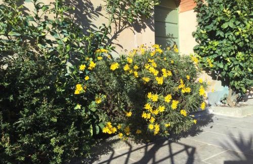 Camaiore House | Experience Casa Mita: Family-Friendly Retreat with Pool