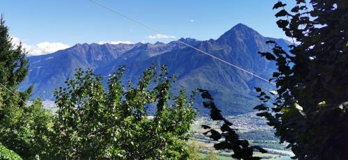 Montemezzo Apartment | Relax at Casa Montilago: Pet-Friendly with Ocean Views
