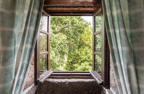 Cinfaes Apartment | Comfort at Casa Museu da Geada: Room 2 with Pool & Breakfast