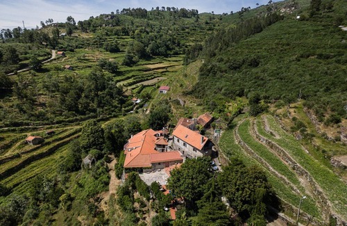 Cinfaes Apartment | Pet-Friendly Escape at Casa Museu da Geada - Rated 10/10