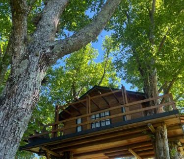 Restinga Ski Chalet | Casa na Árvore