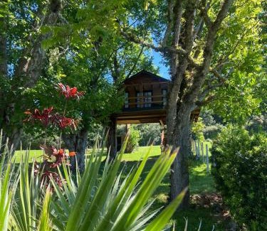 Restinga Ski Chalet | Casa na Árvore