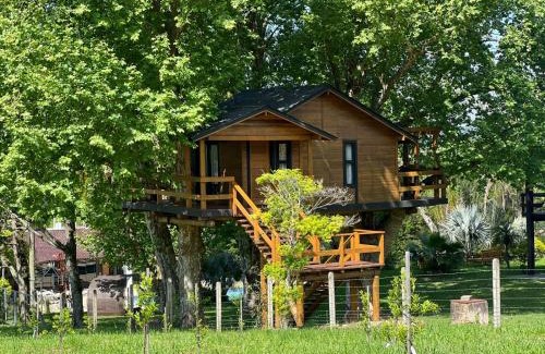 Restinga Ski Chalet | Casa na Árvore