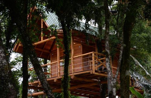 Joao Alves House | Guest Rated 10/10: Casa na Árvore with Unique Amenities