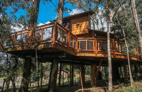 Farroupilha Villa | Experience Casa na Árvore Morada dos Vagalumes - 10/10 Stay!