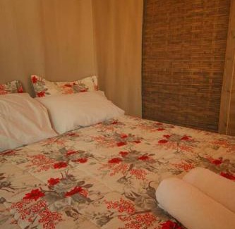 Ilha Grande Apartment | Pet-Friendly Casa na Vila de Abraão with Oceanfront Views