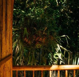 Ilha Grande Apartment | Pet-Friendly Casa na Vila de Abraão with Oceanfront Views