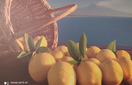 Aci Sant'Antonio House | Relax and Unwind at Casa Natura - Rated 10/10 by Guests