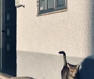 Vilar Torpim House | Relax at Casa Nazare: Family-Friendly Getaway Awaits!