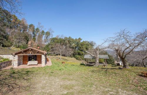 Sassetta Villa | Pet-Friendly Casa nel Bosco with Oceanfront Pool Access