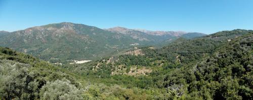 Sainte-Lucie-de-Tallano Apartment | Casa Nepita: Breathtaking Ocean View & Pet Friendly Retreat