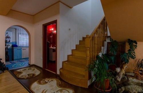 Budesti Villa | Discover Casa NITU: Family-Friendly Stay with Top Reviews