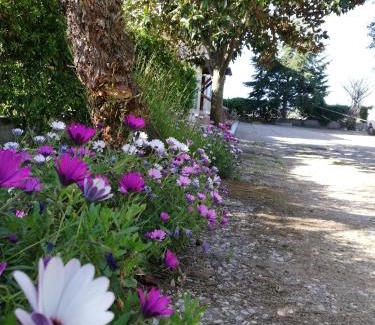 Sperlonga Apartment | Pet-Friendly Casa Noemi with Oceanfront Views - Rated 9.8