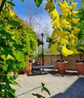Cisterna d'Asti Apartment | Family-Friendly Getaway at Casa Nonna Ada - Rated 9.6/10