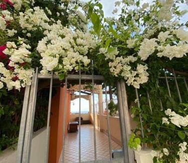 Pizzo Apartment | Experience Casa Norvegese: Oceanfront with Pool Access