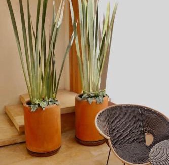 Centro Apartment | Exquisite Casa Nova Centro Oaxaca - Adults Only Retreat