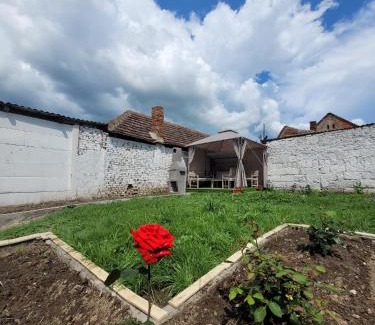 Oradea Villa | Casa Odessei: Family-Friendly Retreat with Hot Tub & Kitchen
