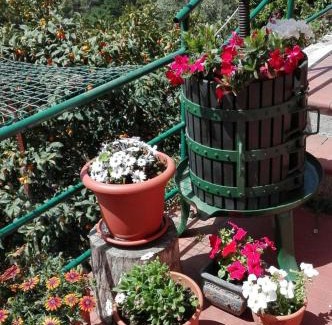 Lavaggiorosso House | Casa Ofelia: Highly Rated Stay with Family & Pet Amenities