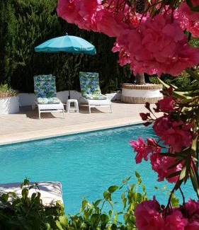 Illora Bed & Breakfast | Experience Casa Olivar B&B: Oceanfront Oasis with Pool
