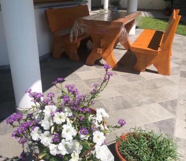 Carisolo Apartment | Guest Rated Casa Olivieri: Ideal for Families and Pets