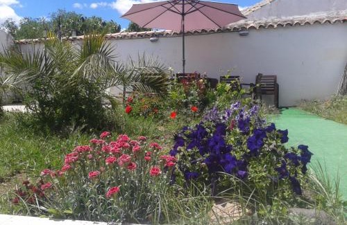 Picon House | Stay at Casa Oretani: Oceanfront Oasis with Great Amenities