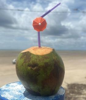 Sao Jose de Ribamar House | Relax at Casa Pé na Areia: Oceanfront, Pet Friendly Retreat