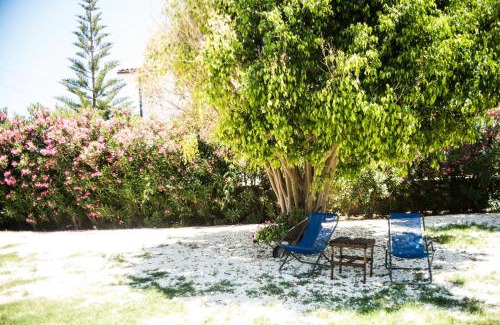 Noto House | Discover CASA PAOLO with Oceanfront Views and High Ratings