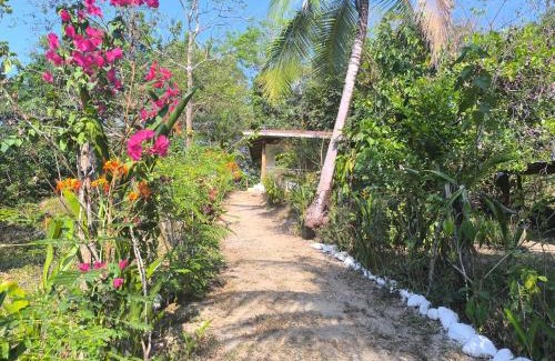 Manzanillo House | Discover Casa Paraíso: Family and Pet-Friendly Retreat