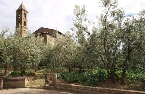 Sugano House | Discover Casa Passero Orvieto: Pet & Child Friendly Retreat