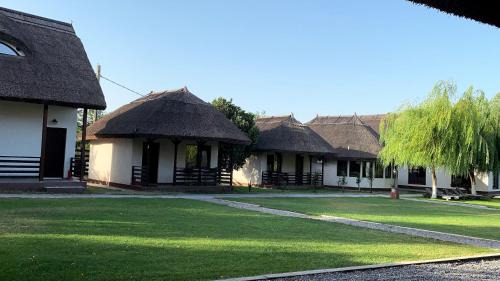 Dunavatu de Jos House | Oceanfront Retreat at Casa Patru Anotimpuri - 4-Star Stay