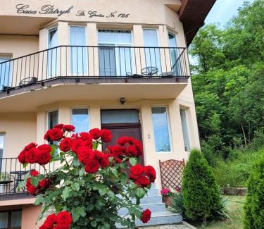 Orsova House | Enjoy Family Comfort at Casa Patryk - Rated 9.6/10