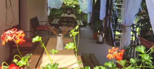 Orsova House | Enjoy Family Comfort at Casa Patryk - Rated 9.6/10