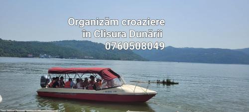 Orsova House | Enjoy Family Comfort at Casa Patryk - Rated 9.6/10