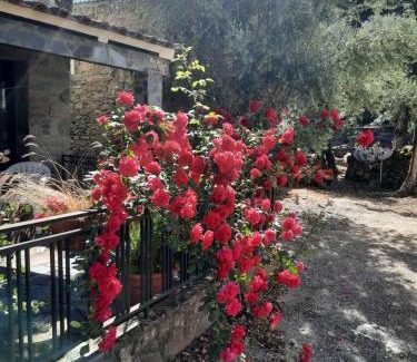 Pena Falcao House | Exceptional Stay at Casa Penafalcão - 9.3/10 Rating!