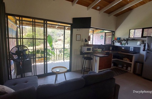 Samara Apartment | Casa Perezoso: Tropical Oasis with Pool & Ocean Views