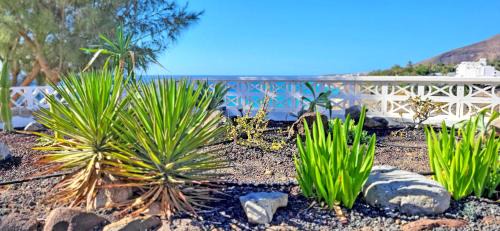 Esquinzo Apartment | Oceanfront Retreat at Casa Perrito Gris - Guest Rated 9.7