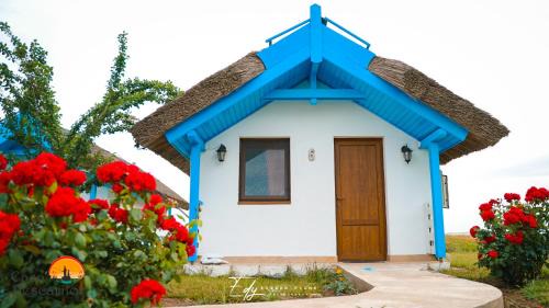 Ceamurlia de Jos Resort | Discover Casa Pescarilor: Oceanfront Retreat with Pool