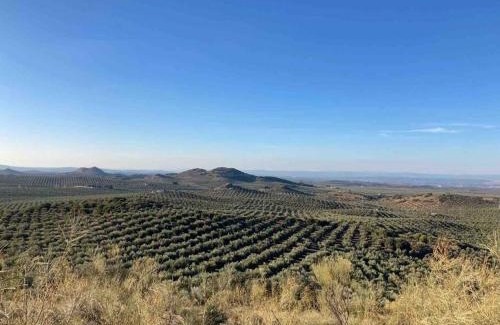 Mancha Real House | Discover Casa Picual: Pet-Friendly Hotel with Pool & Views