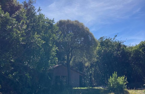 Puerto Aysen Cabin | Casa Piedra Shelter