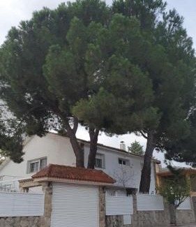 Mostoles House | Relax at Casa Pinares: Poolside Escape with Great Reviews