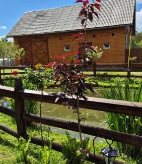 Breb House | Pet-Friendly Casa Pintea de Sub Coastă - Guest Rated 9.8